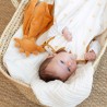 Baby die in de wieg ligt met zijn knuffeldoekje Igor Baby die in de wieg ligt met zijn knuffeldoekje Igor