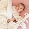 Bebé aconchegado sob a sua manta muito macia, com o seu boneco de conforto em forma de dinossauro Bebé aconchegado sob a sua manta muito macia, com o seu boneco de conforto em forma de dinossauro