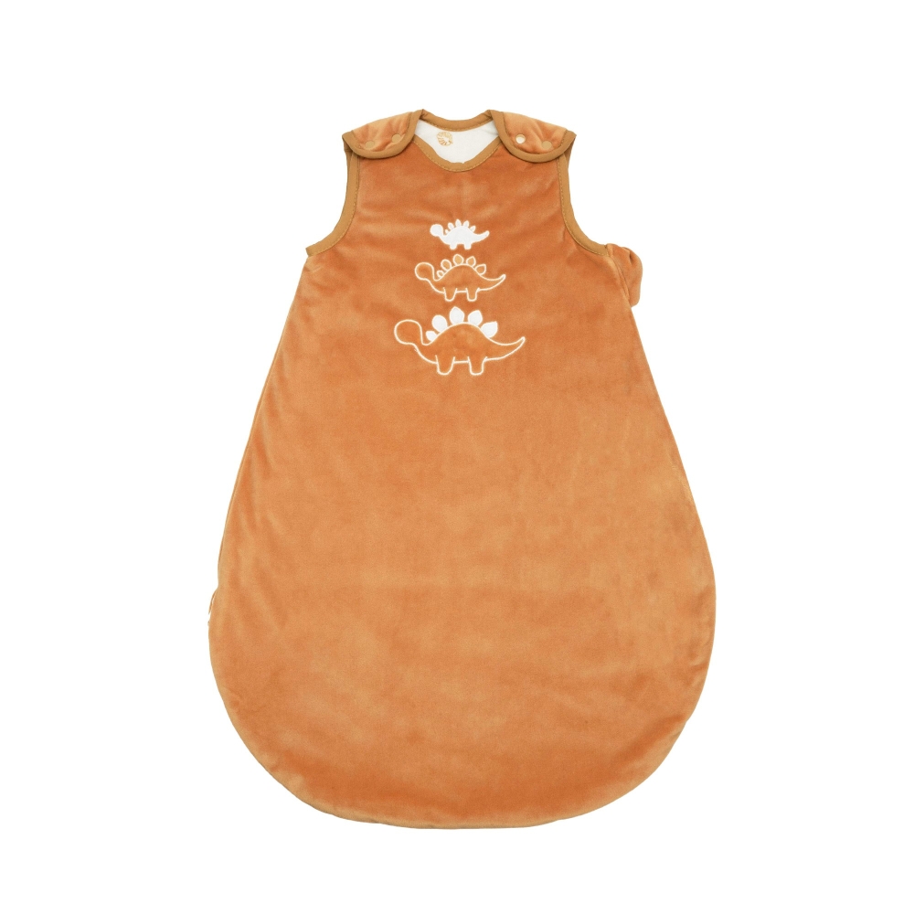 Saco de dormir recém-nascido com bordado de dinossauro