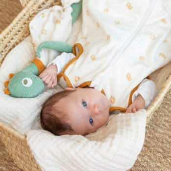 Il bambino dorme con il suo pupazzo di dinosauro