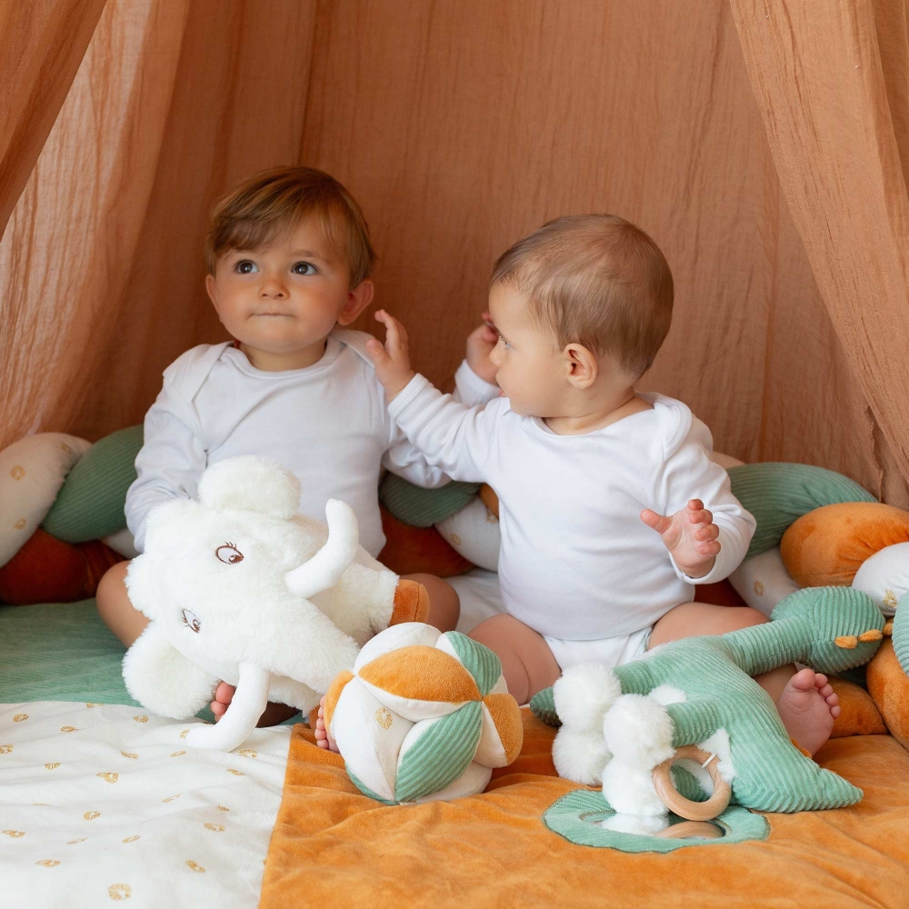 Dois bebés a brincar no seu espaço delimitado pela trança decorativa diplododo