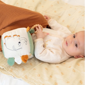 Baby die speelt met zijn ontwikkelkubus Baby die speelt met zijn ontwikkelkubus