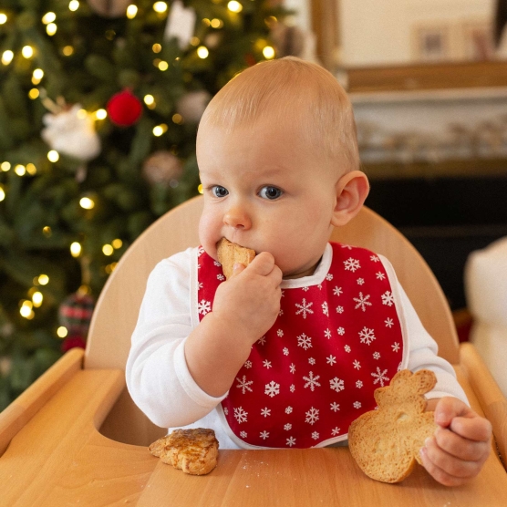Set of 2 first age bibs - Christmas Trois Kilos Sept - 1