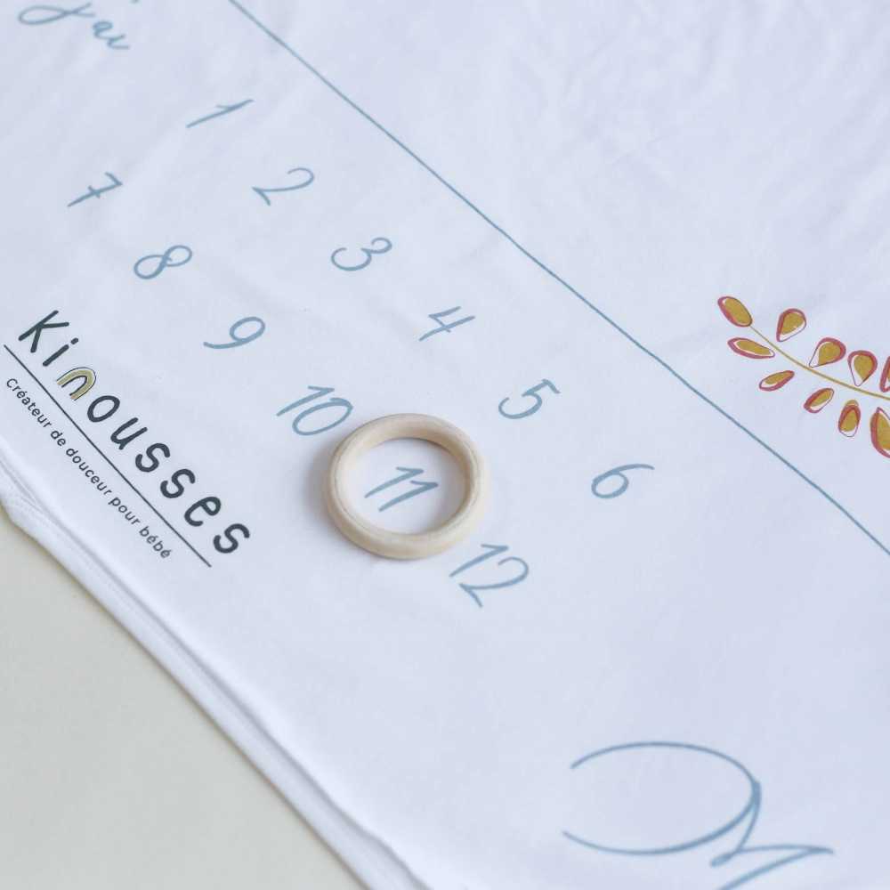 Detalhe dos meses da manta de etapas