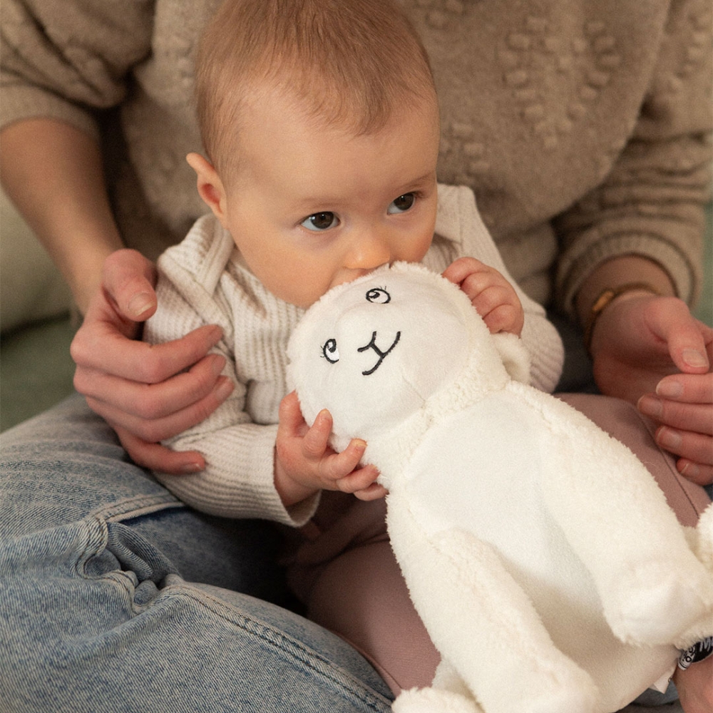 baby chewing on the ear of the musical sheep soft toy baby chewing on the ear of the musical sheep soft toy