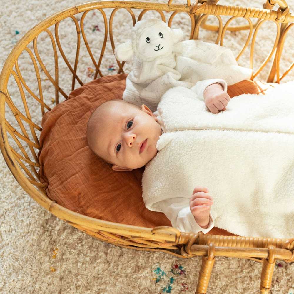 bebé no seu saco de dormir sherpa com o seu peluche