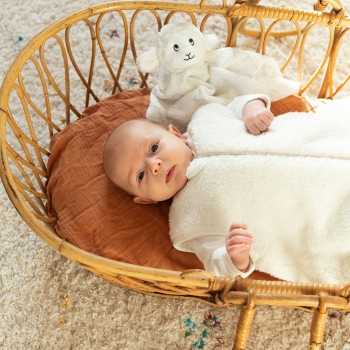 bebé no seu saco de dormir sherpa com o seu peluche
