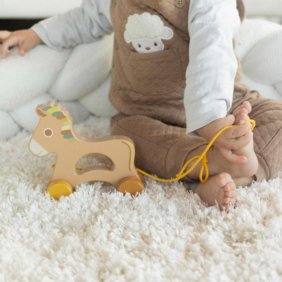 Wooden baby pull along toy...