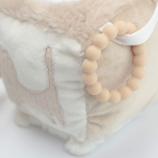 activiteitenkubus leeuw voor baby.