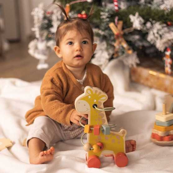 Conjunto de 3 brinquedos de desenvolvimento em madeira para bebé