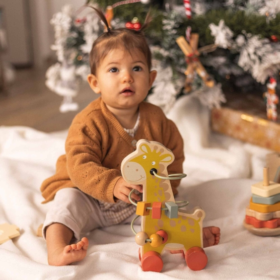 Set of 3 wooden developmental toys for baby