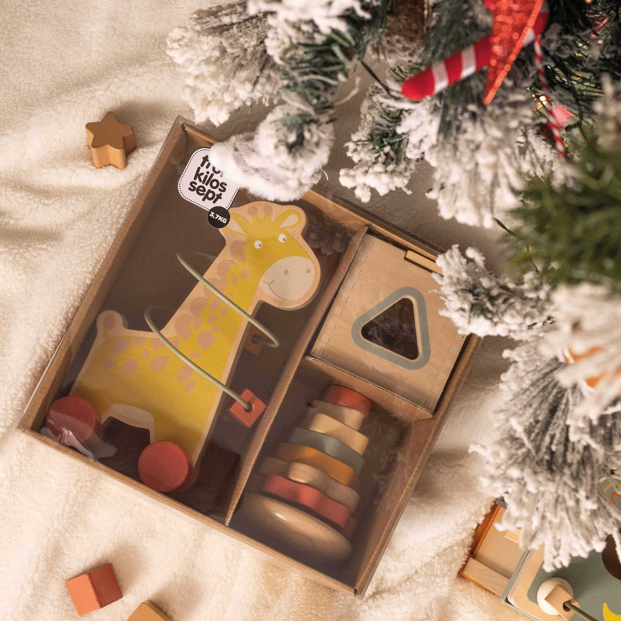 Coffret de 3 jouets d'éveil en bois (Trois Kilos Sept) - Image 3