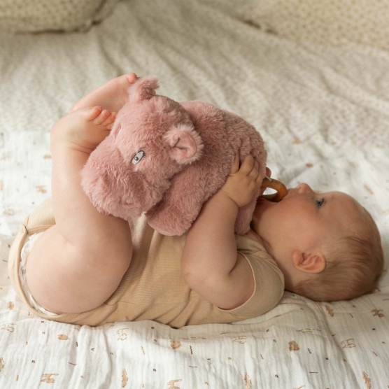 pink hippo musical plush toy