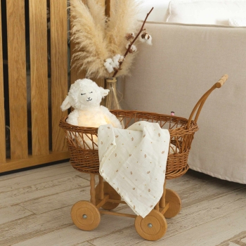 Nachtlampje wooly in zijn kinderwagen met luiers.