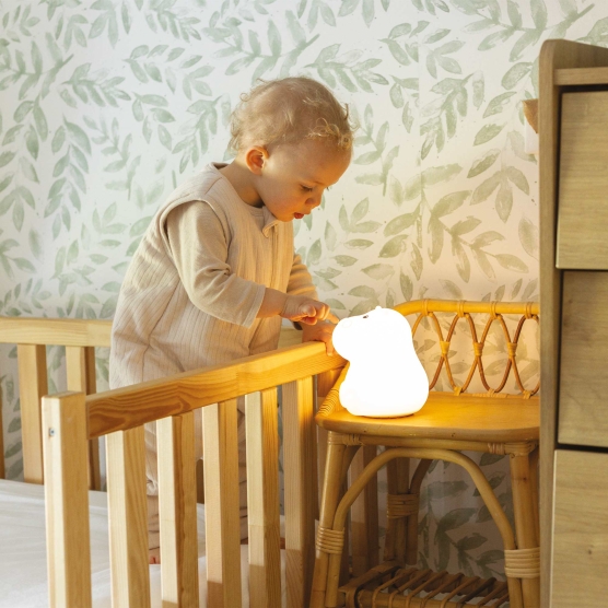 Luz nocturna hipopótamo conectada