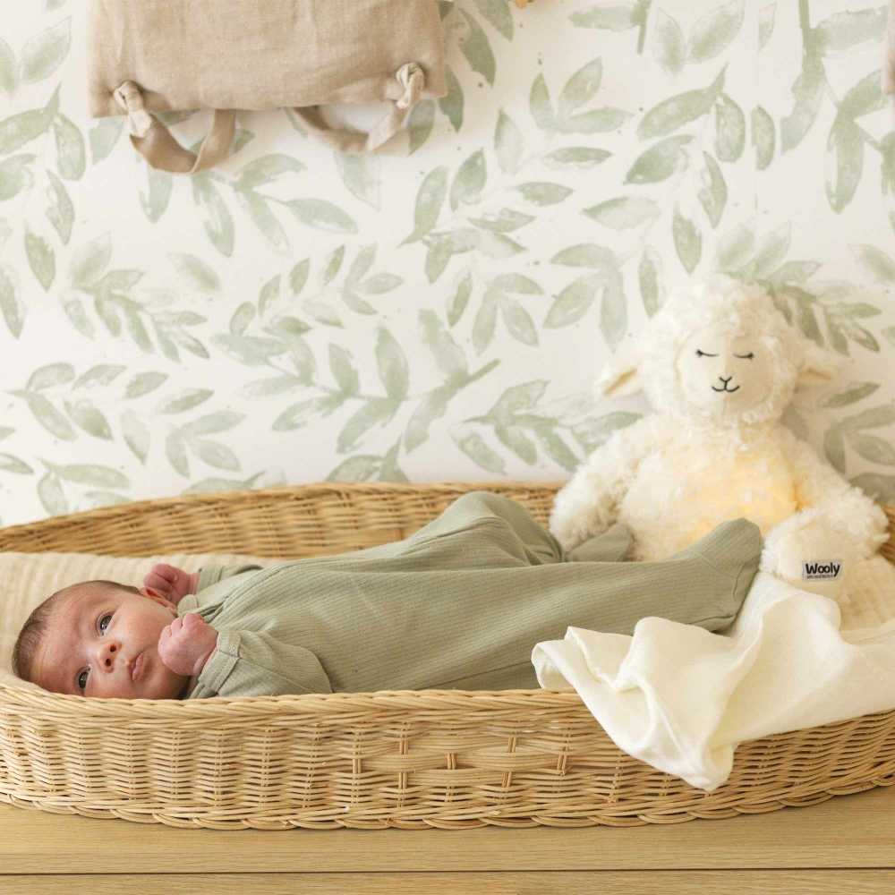 Bebé a usar o pijama num moisés com um projetor de sons brancos Wooly