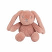 Peluche musical coelho
