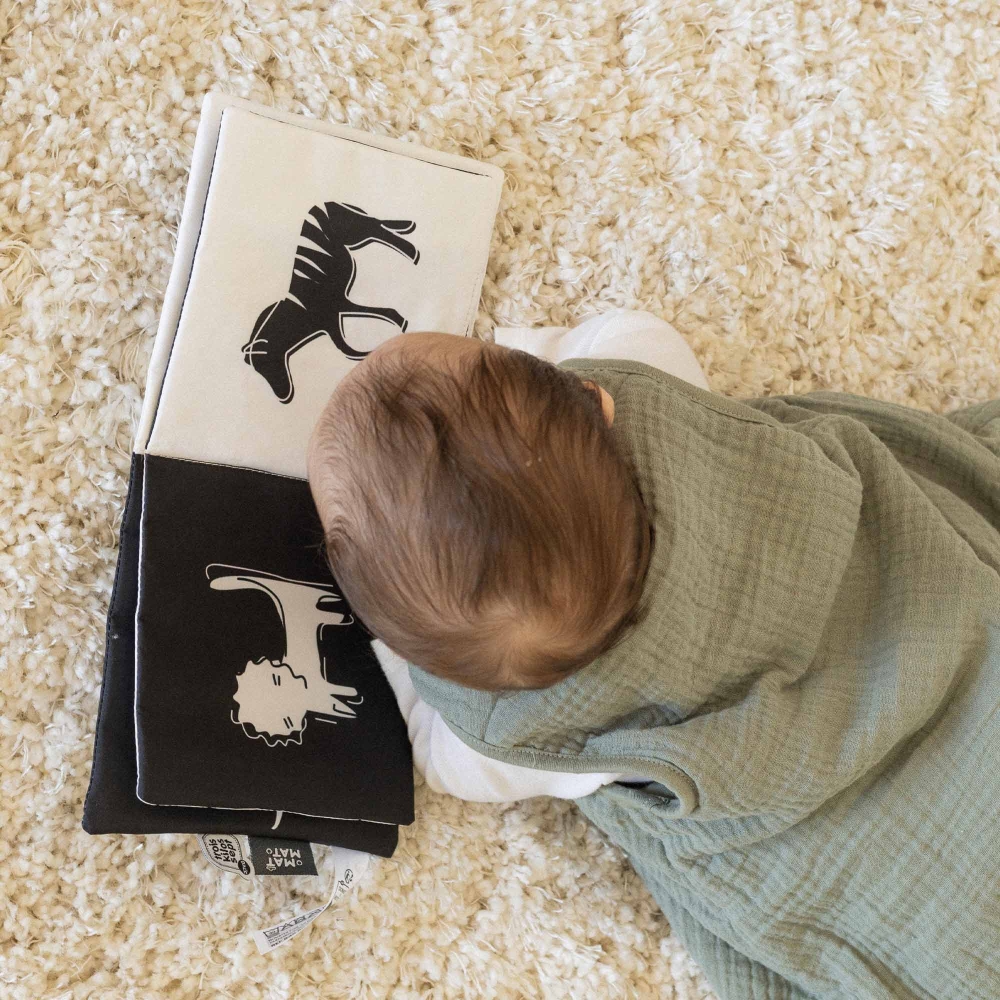 Bebè che guarda il suo libro nel sacco nanna