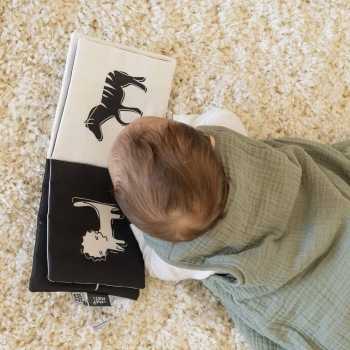 Bebé a olhar para o seu livro no saco de dormir