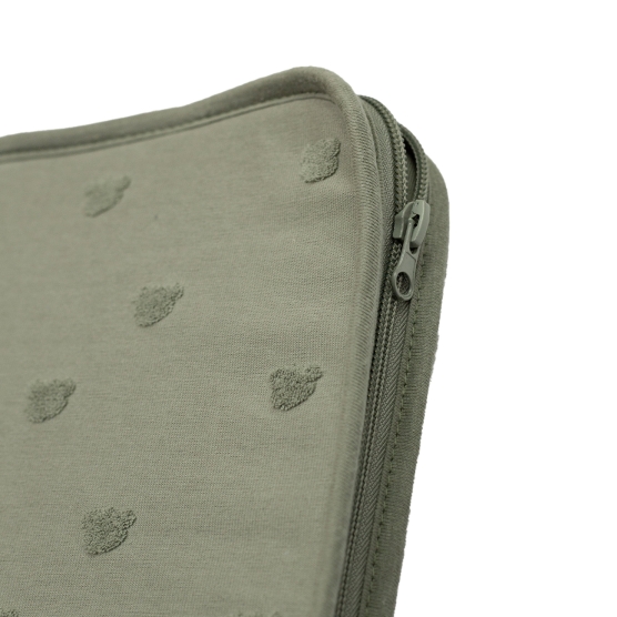 Capa de caderneta de saúde verde argila