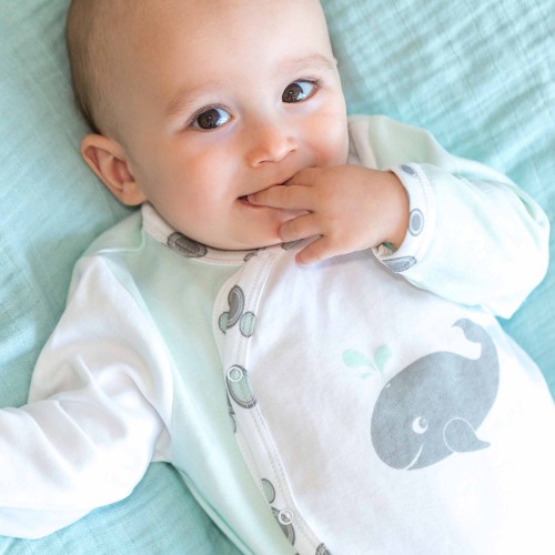 Y interlock sleepsuit - Whale