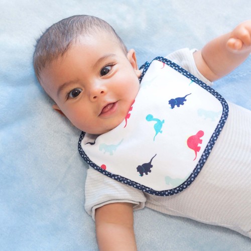 Set of 7 newborn bibs - Dinosaurs