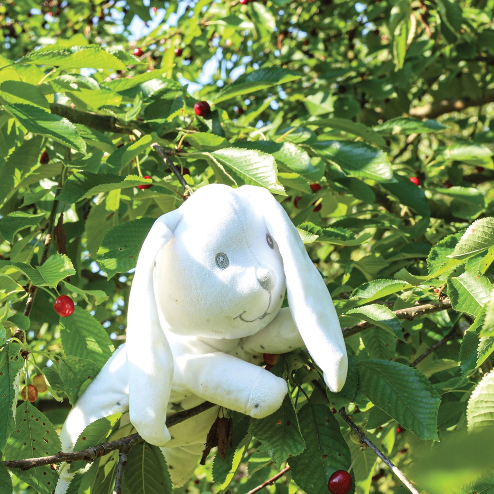 Trois Kilos Sept Bunny Beanbag Plush - 3 Trois Kilos Sept Bunny Beanbag Plush - 3