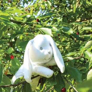 Peluche con palline Coniglio Trois Kilos Sept - 3