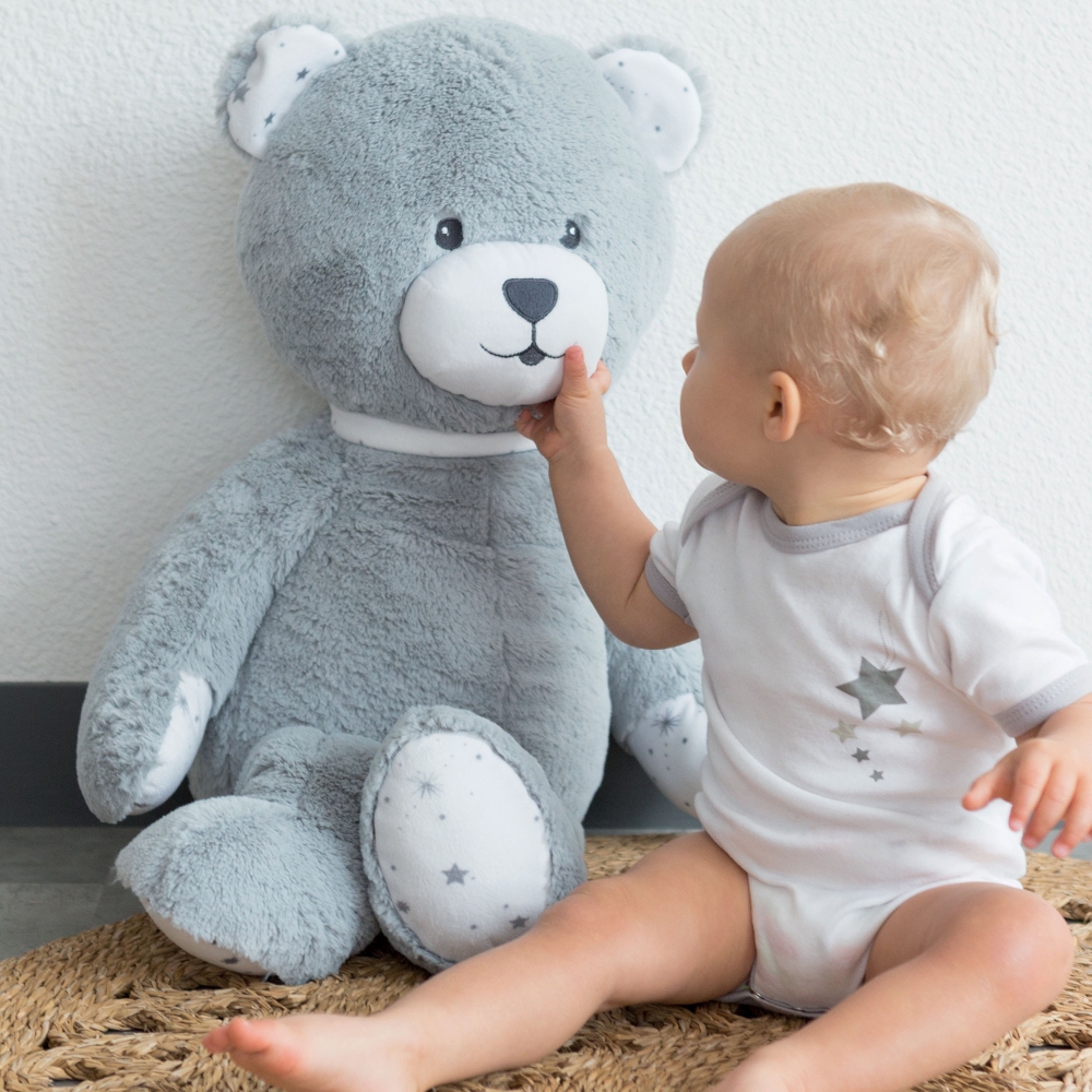 Teddy Bear Plush Teddy Bear Plush