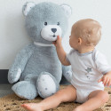 Teddy Bear Plush Teddy Bear Plush