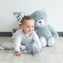 Baby Bear Plush Toy Baby Bear Plush Toy