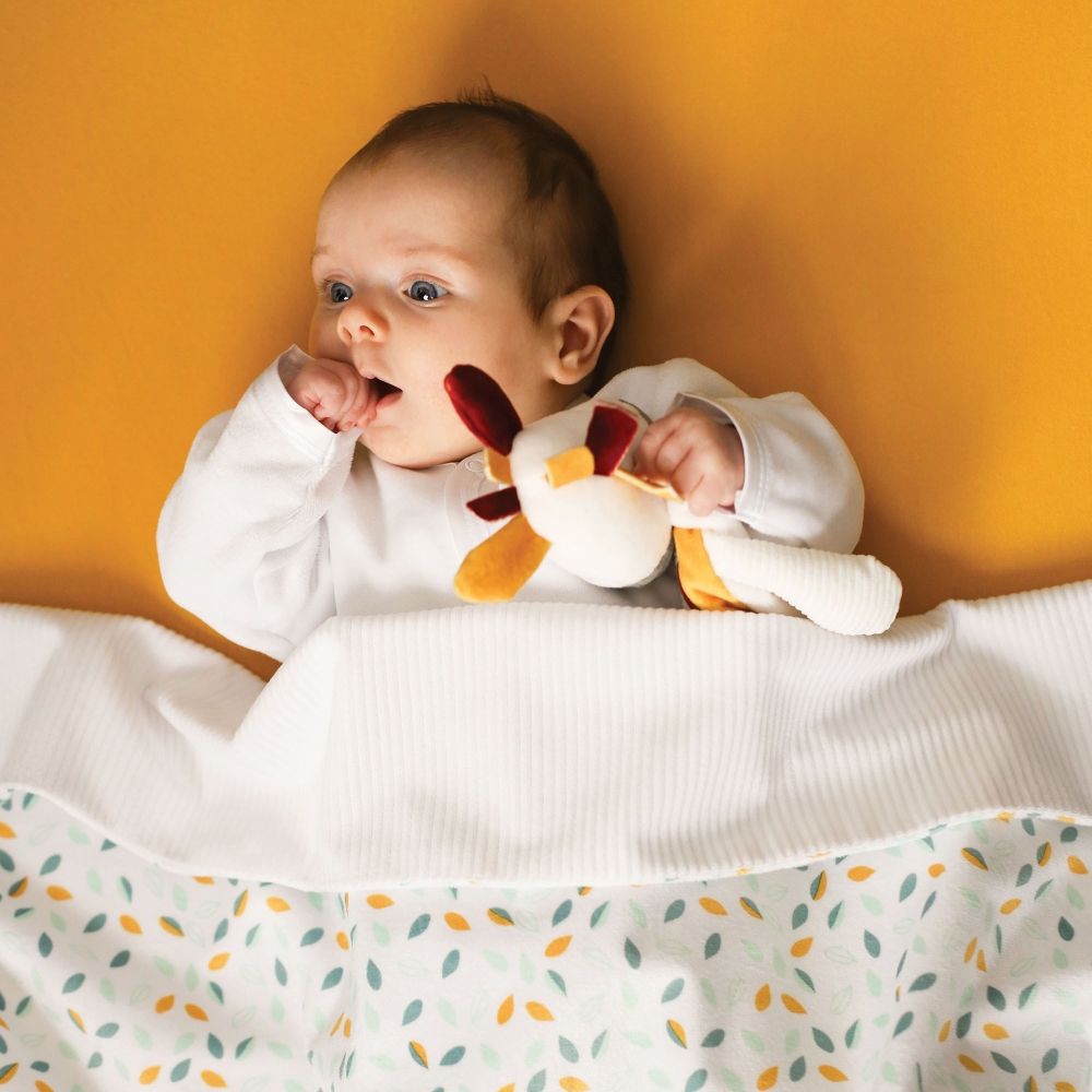 Baby blanket Baby blanket