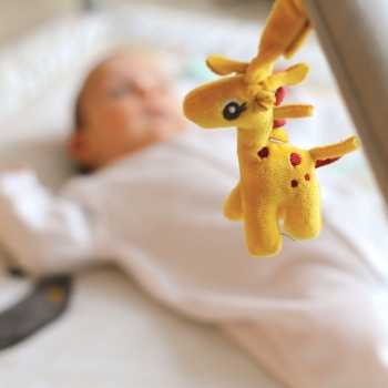 Tapete com girafa