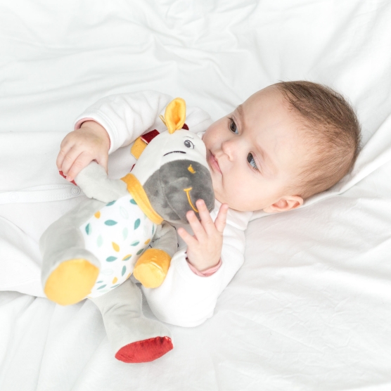 Trois Kilos Sept Musical Zebra Soft Toy - 1
