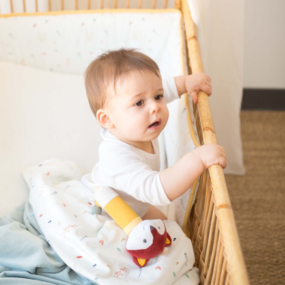 Bébé dans son lit avec sa couverture et son hochet renard Bébé dans son lit avec sa couverture et son hochet renard