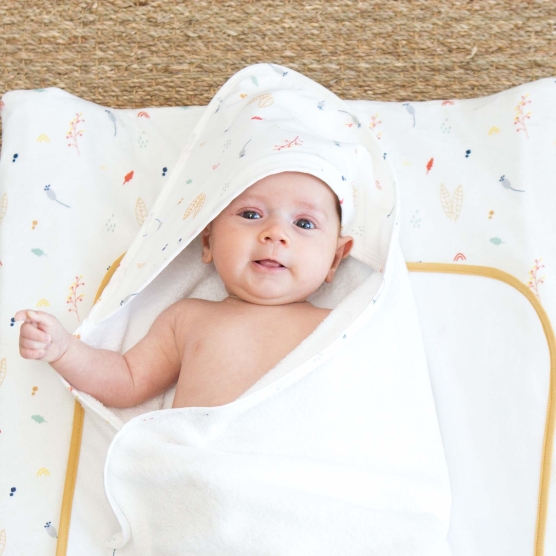 Hide and seek in forest bath set product photo white background