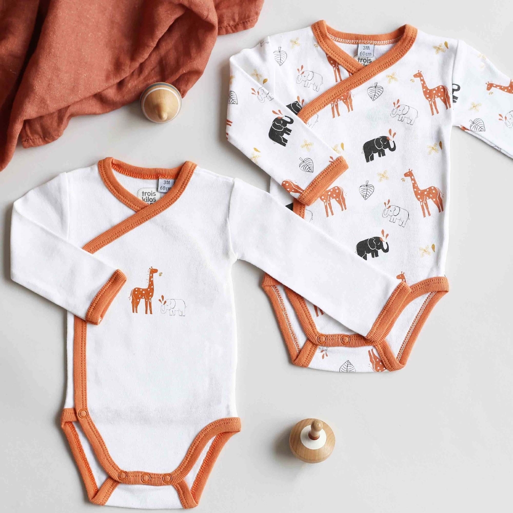 2 long sleeve bodysuits 2 long sleeve bodysuits