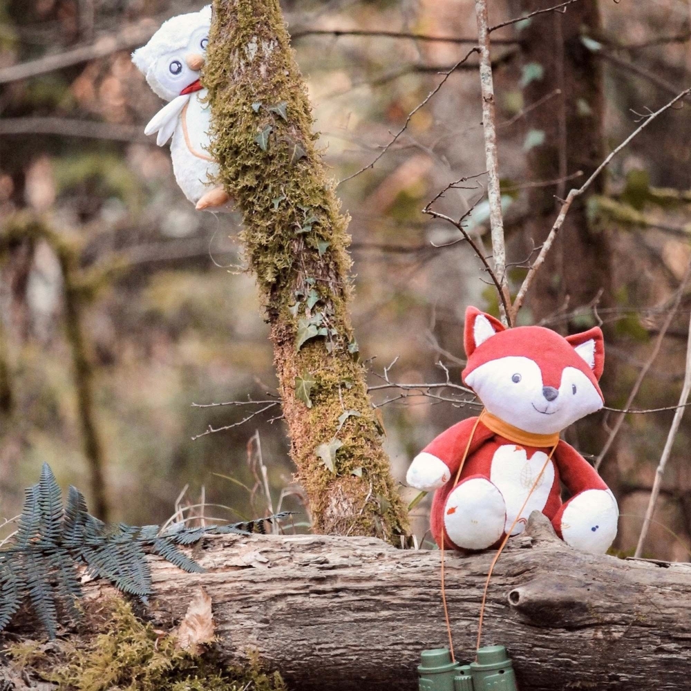 Musical fox plush on a tree and owl plush hanging from the tree Musical fox plush on a tree and owl plush hanging from the tree