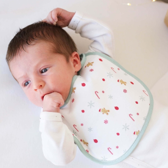 Set of 2 newborn bibs - Christmas