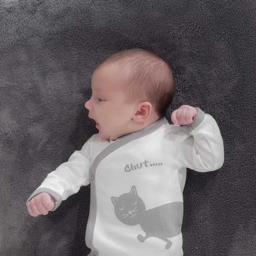 Lot de 2 bodies croisés - Chat