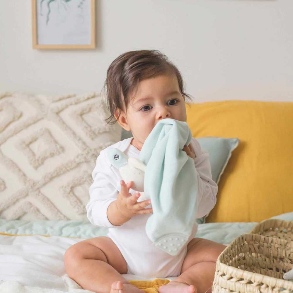 baby eats his comfort blanket off the coast of nova turtle