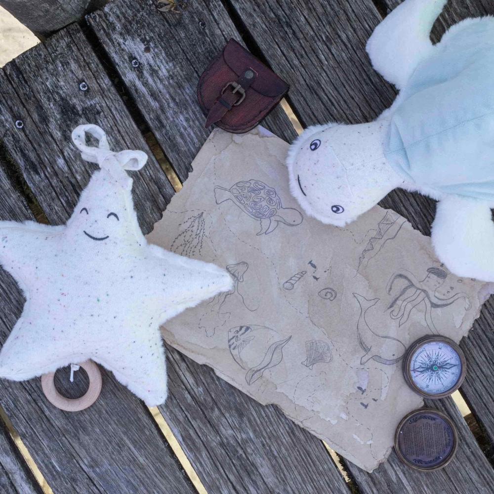 estrella de mar y tortuga de mar en un pontón