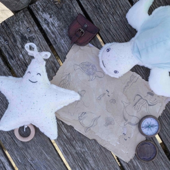 estrella de mar y tortuga de mar en un pontón