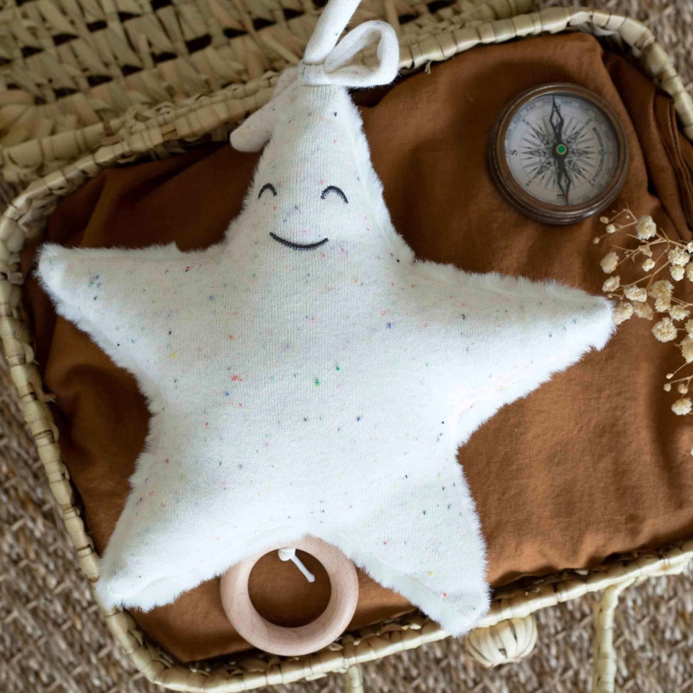 musical starfish in a small basket musical starfish in a small basket