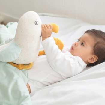 Bebé com peluche musical Ao largo de Nova