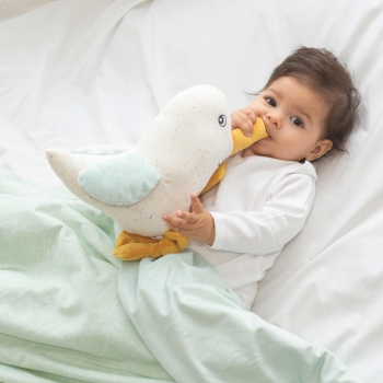 Gaviota musical Au large de Nova