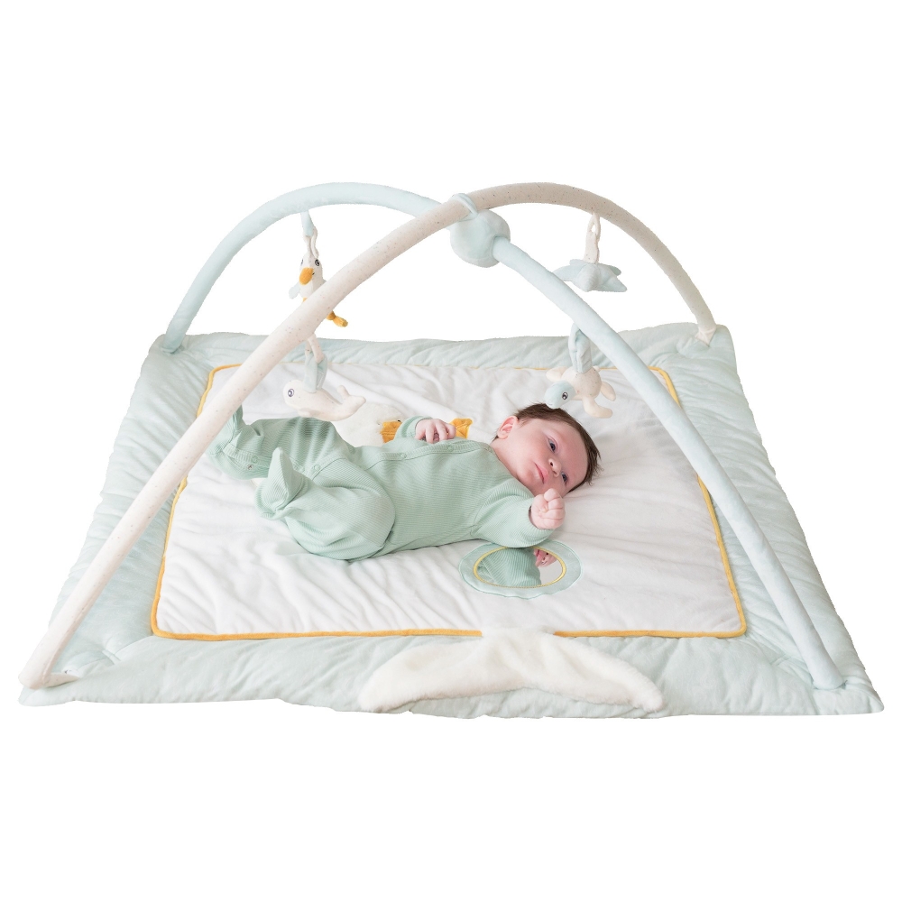 Newborn on activity playmat with activity arch