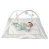 Newborn on activity playmat with activity arch Newborn on activity playmat with activity arch