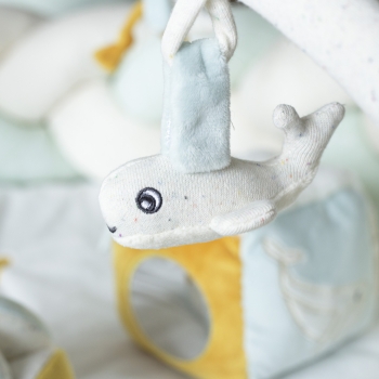 Close-up van de sensorische walvis Close-up van de sensorische walvis