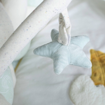 Close-up of the starfish on the activity gym.